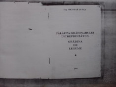 Calauza gradinarului intreprinzator/ Gradina de legume/Nicolae Lupsa/ C43P foto