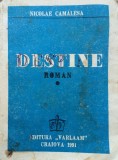 DESTINE - Nicolae Camalesa