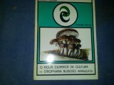 O NOUA CIUPERCA DE CULTURA STROPHARIA RUGOSO ANNULATA