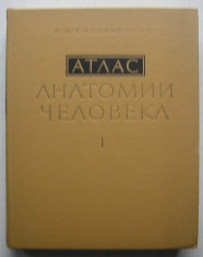 Sinelnikov - Atlas de Anatomie Umana (vol.I) foto