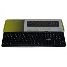 TASTATURA KB03 PS2 DIGITTEX COLOR PACKING foto