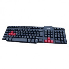 TASTATURA KB345G PS2 COLOR PACKING foto