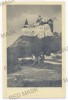 2730 - BRAN, Dracula Tower - old postcard - unused, Necirculata, Fotografie