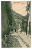 2865 - SIBIU, street, Romania - old postcard - unused