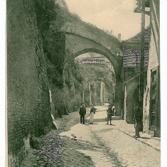 2865 - SIBIU, street, Romania - old postcard - unused
