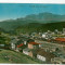 2845 - PREDEAL, Brasov, Railway Station - old postcard - unused