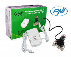 Kit Senzor gaz PNI GD-01 si electrovalva PNI V-02 cod 2014172 foto
