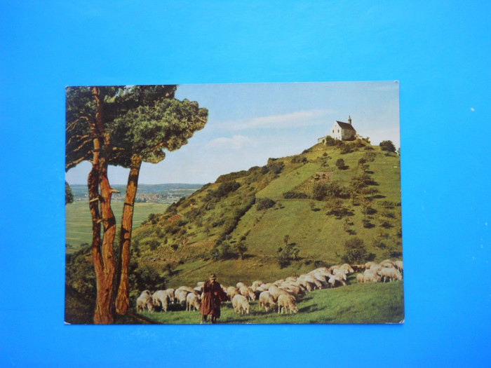 HOPCT 19776 GERMANIA WURMLINGER BERGKAPELLE / CIOBAN CU OILE !!-NECIRCULATA -