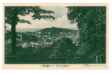 2854 - BRASOV, Panorama - old postcard - unused, Necirculata, Printata