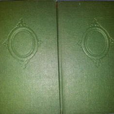 REGINA MARGOT /ALEXANDRE DUMAS/ 2 VOL /CARTONATA