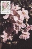 C3603 - Transkei 1990 - carte maxima
