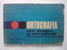 Ortografia prin imagini si comparatii / Ion P. Necula / R5P1F foto