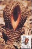 C3605 - Transkei 1991 - carte maxima