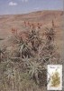 1902 - Transkei 1986 - carte maxima