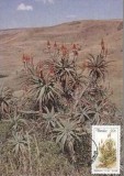 1902 - Transkei 1986 - carte maxima