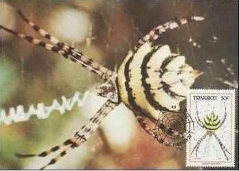 1895 - Transkei 1987 - carte maxima