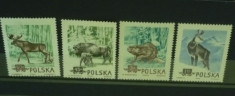 POLONIA 1954 ? ANIMALE SALBATICE, serie DT nestampilata N42 foto