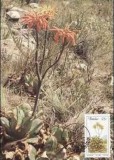 1901 - Transkei 1986 - carte maxima
