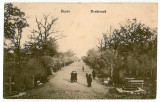 2856 - BUZAU, Bulevardul si parcul - old postcard, CENSOR - used - 1917, Circulata, Printata