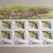 Israel 2013 fauna pasari 3 kleib. MNH w06