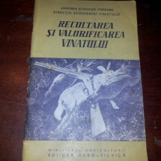 RECOLTAREA SI VALORIFICAREA VANATULUI - BUCURESTI - 1960