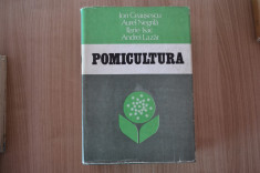 ION CEAUSESCU s.a. - POMICULTURA foto