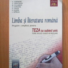 d6 LIMBA SI LITERATURA ROMANA - TEZA CU SUBIECT UNIC - A. Costache, E. Carstocea