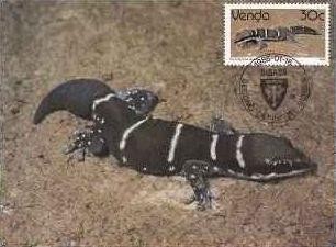 1947 - Venda 1986 - carte maxima foto