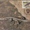 1949 - Venda 1986 - carte maxima