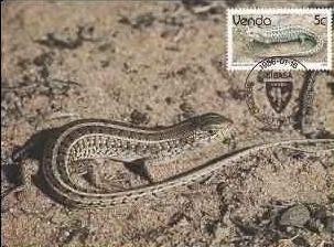 1954 - Venda 1986 - carte maxima foto