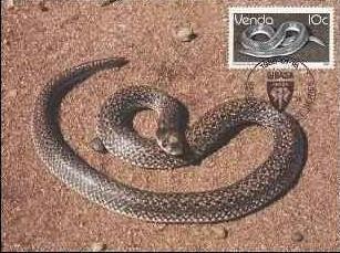 1950 - Venda 1986 - carte maxima foto