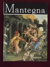 Alexandru Balaci - Mantegna - 344727 foto