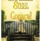 Danielle Steel - Conacul