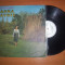 LAURA LAVRIC - MOLDOVA MINDRA GRADINA (ST-EPE 01480) disc vinil LP vinyl pickup pick-up