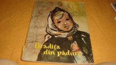 Luiza Vladescu - Bradita din padure - ilustratii color Angela Balogh - ed Tineretului 1958 foto