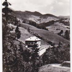 Ilustrata postala circulata 1963 RPR Borsa