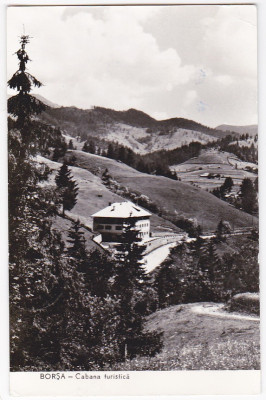 Ilustrata postala circulata 1963 RPR Borsa foto