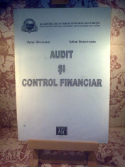 Petre Brezeanu - Audit si control financiar foto