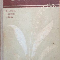 BOTANICA - Gh. Anghel, H. Chirilei, I. Tudor (Manual pentru scolile tehnice de maistri)