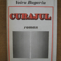 Voicu Bugariu - Curajul