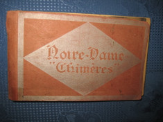 Album vederi vechi-Notre Dame- CHIMERES- Monuments Historiques de France. foto