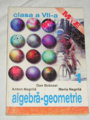 RWX 30 - PROBLEME PT CLS A VII-A - ALGEBRA - GEOMETRIE - VOLUMUL I - ED 1999 foto