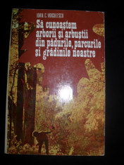 IOan C. Voiculescu Sa cunoastem arborii si arbustii din padurile, parcurile si gradinile noastre, 1978 foto