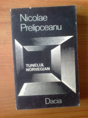 n1 Tunelul norvegian - Nicolae Prelipceanu foto