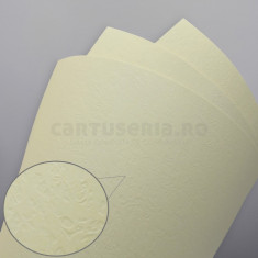 Carton texturat format A4 230g top 20 bucati - Culoare: Crem - Textura: Piele (cod produs: 296937) foto