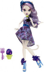 Papusa Monster High MP Catrine - Mattel CDC05-CDC08 foto