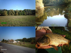 Teren intravilan cu Balta langa Alesd Bihor la soseaua nationala E60 foto