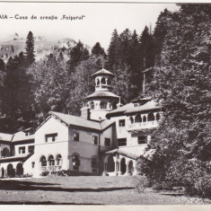 bnk cp Sinaia - Casa de creatie Foisorul - necirculata