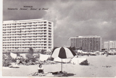 bnk cp Mamaia - Hotelurile Sirena , Doina si Flora - circulata foto