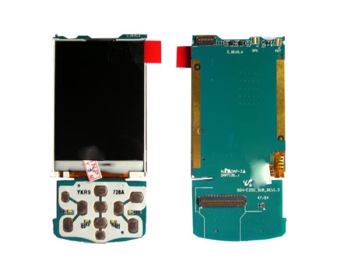 LCD compatibil Samsung E250D